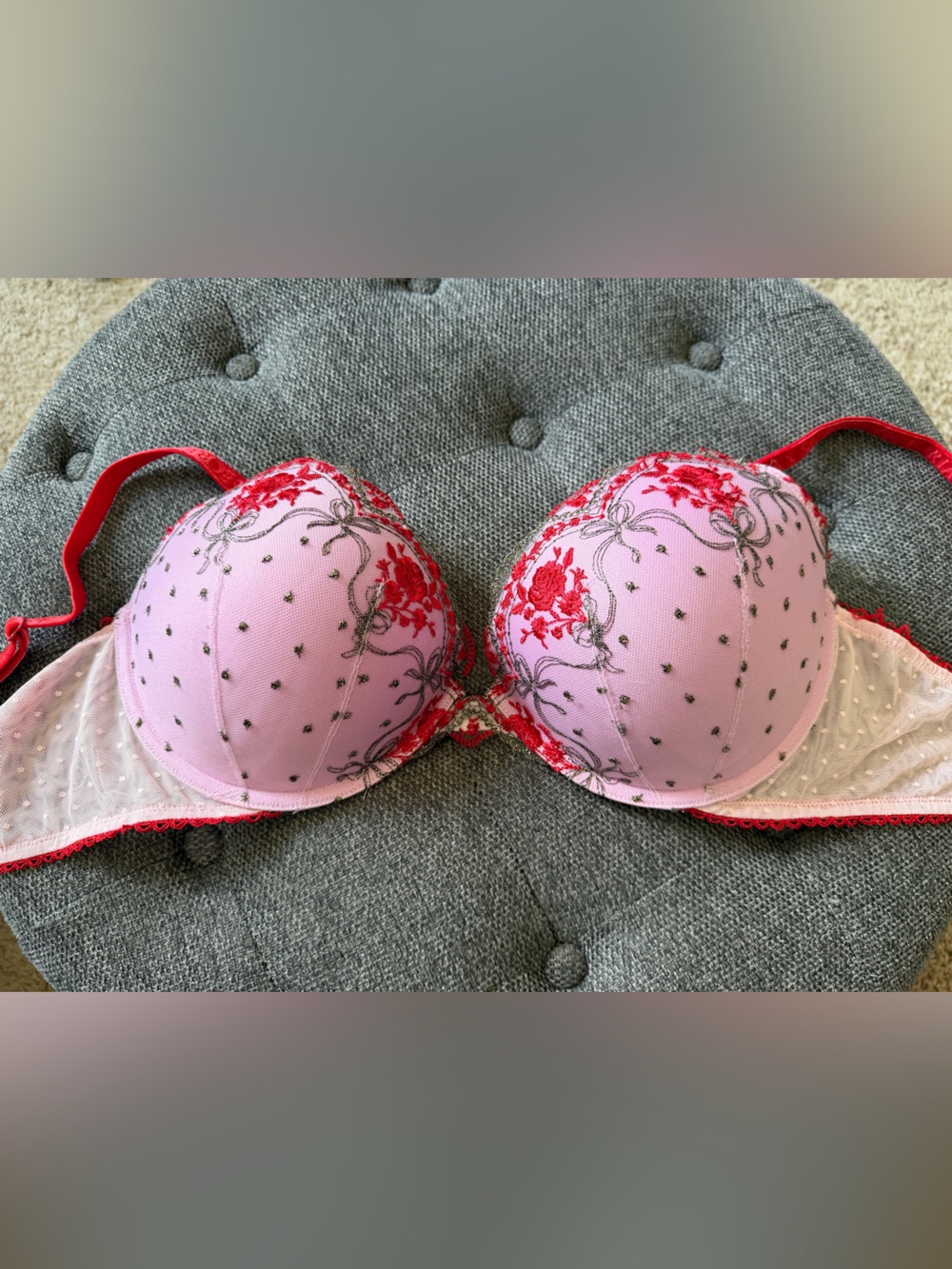Victoria’s Secret Pink and Red Embroidered Push-Up Bra